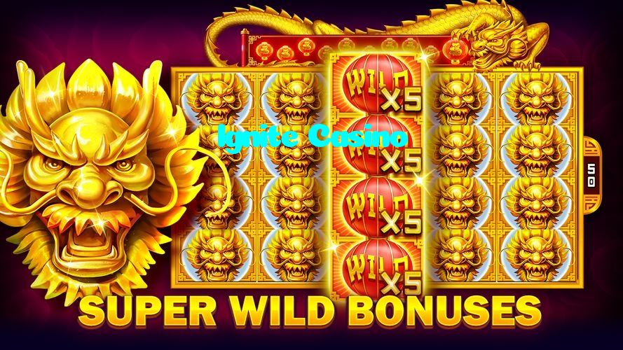 available types of Ignite Casino bet including pre-match live express and system bets